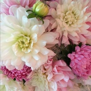 Meet your Posher, Charlotte